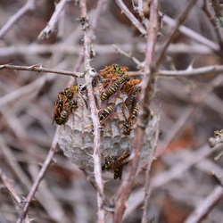 2017-03 New Zealand/Blue Spring/DSC_0020.JPG